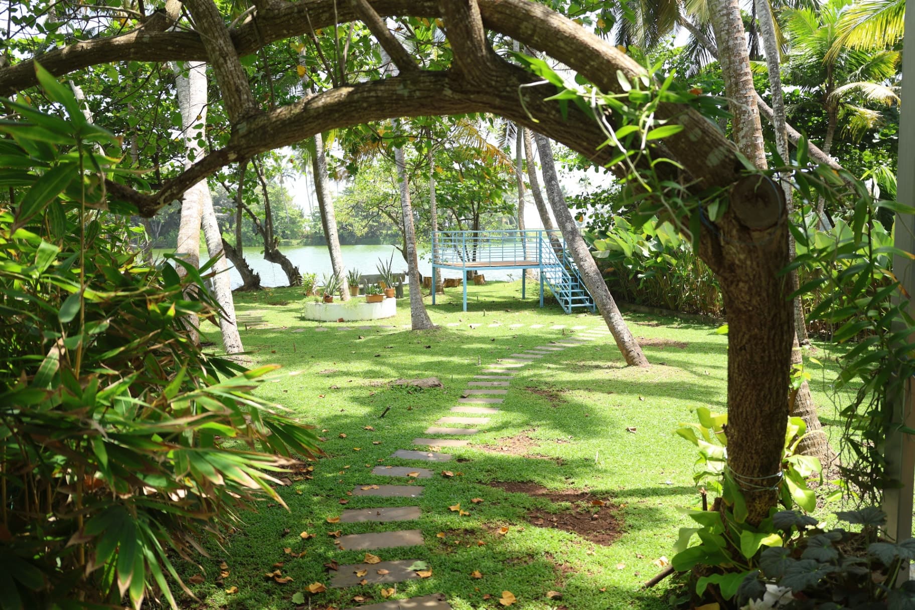 Garden path winding through tropical greenery