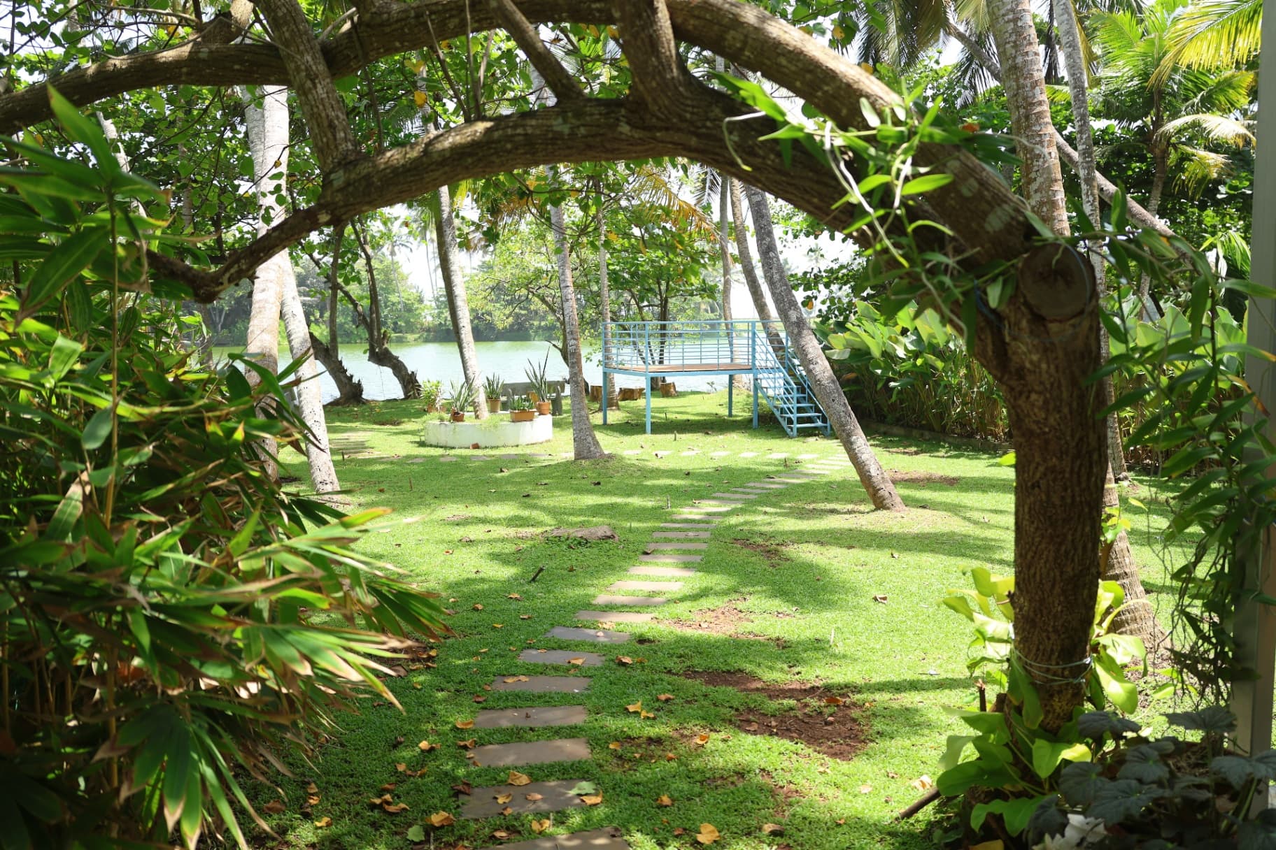 Garden path winding through tropical greenery