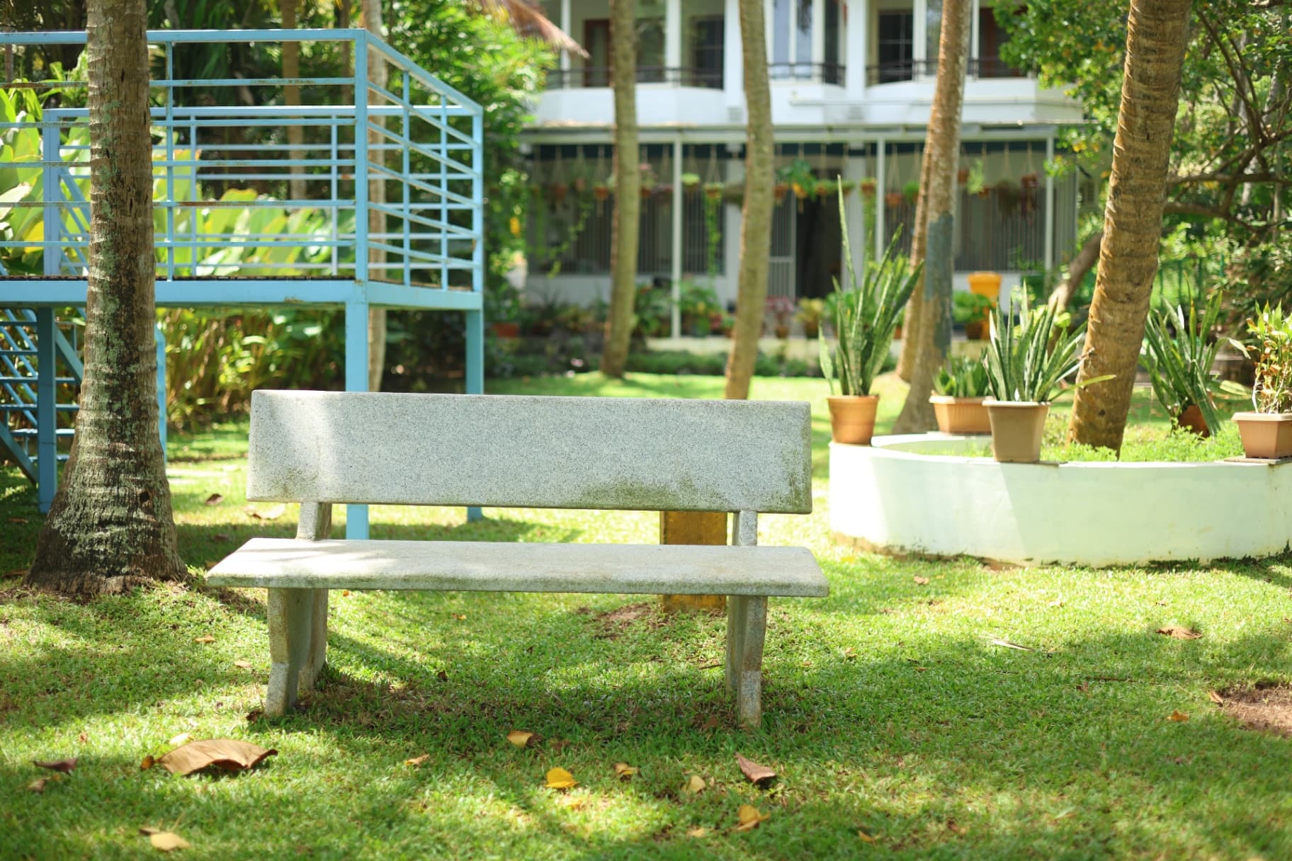 Stone bench under coconut palms