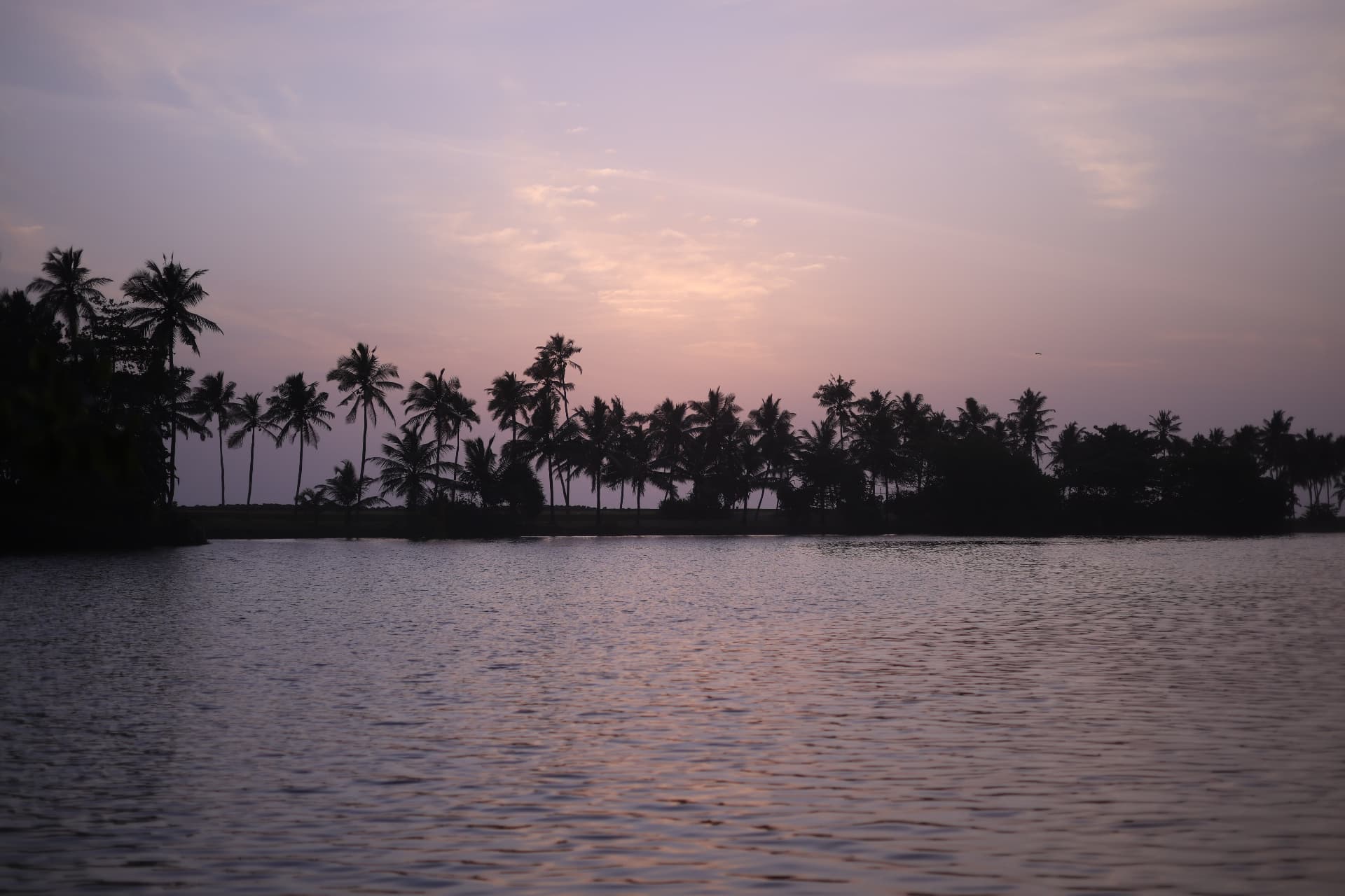 Golden sunset over the Kovalam backwaters