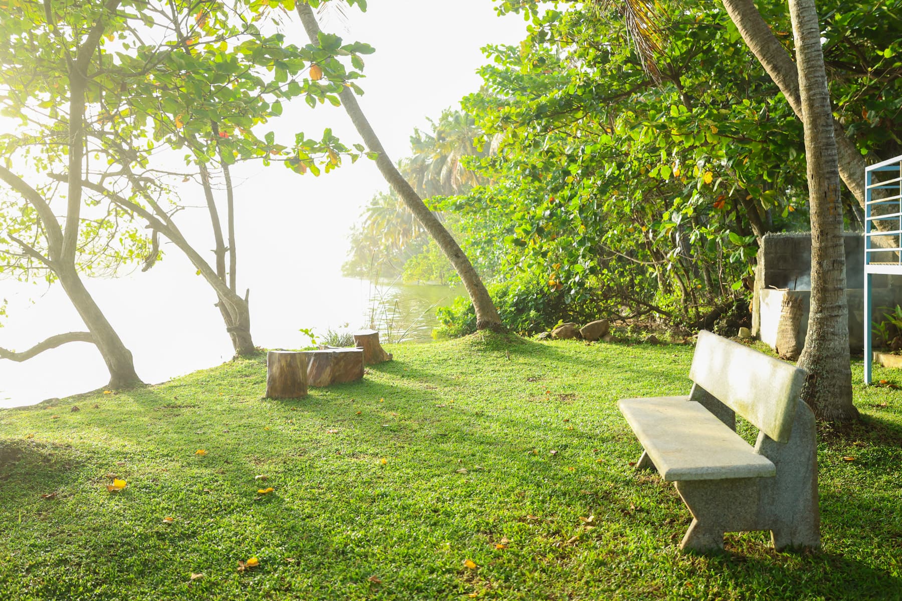 River Loom property exterior with palms
